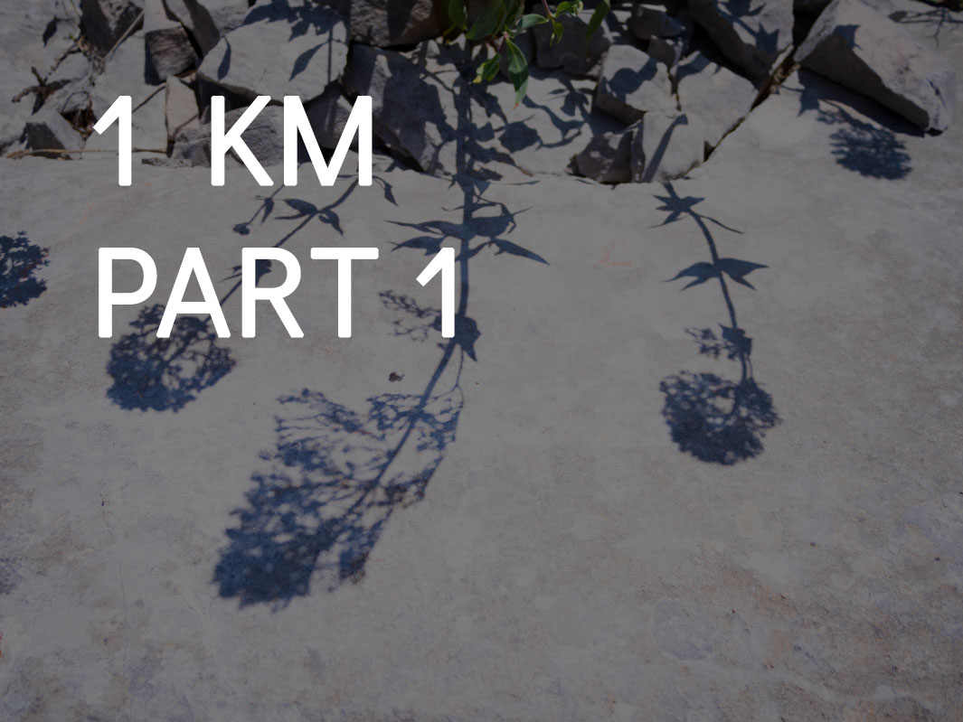 vignette_1km-4291566_2